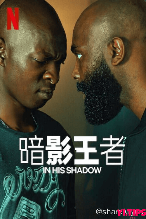 阿里云盘 暗影王者 Le Roi des Ombres (2023) 4K-Yi.Tips