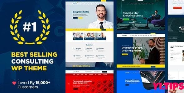 Consulting v6.4.8 破解版免费下载- 商业、金融 WordPress 主题-Yi.Tips