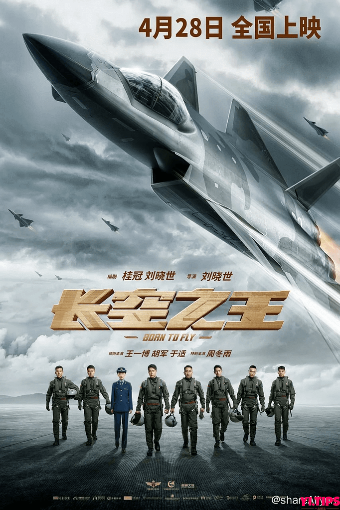 阿里云盘 电影 长空之王 (2023) 4K 高码率 杜比5.1声道 & 1080p 高码 【和谐补档】-Yi.Tips