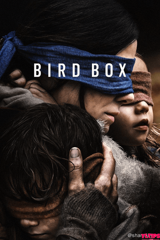 阿里云盘-蒙上你的眼 Bird Box（2018）-Yi.Tips