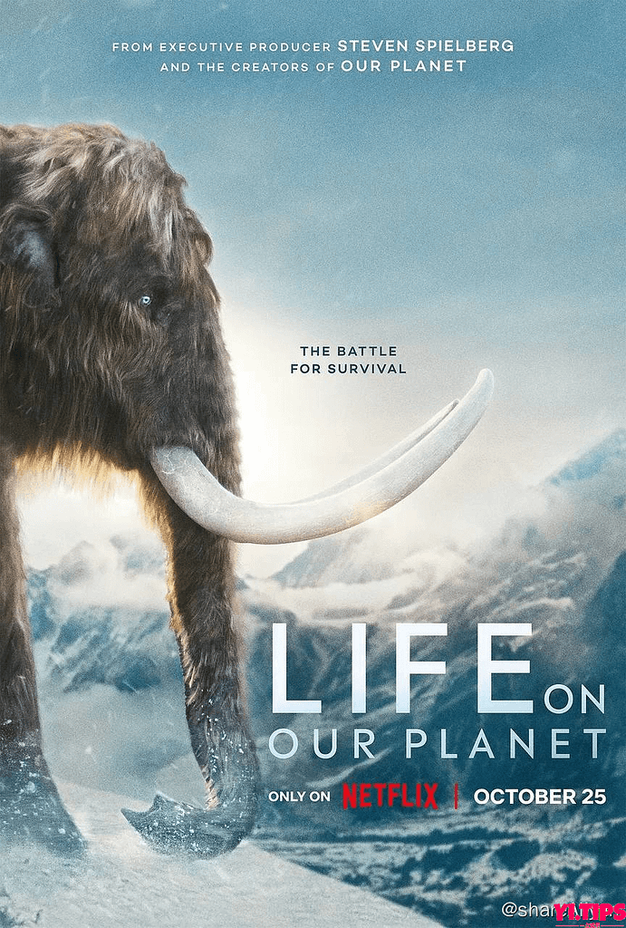 我们星球上的生命 Life On Our Planet (2023) 1080p 高码 内封多国语 8集全【纪录片】-Yi.Tips