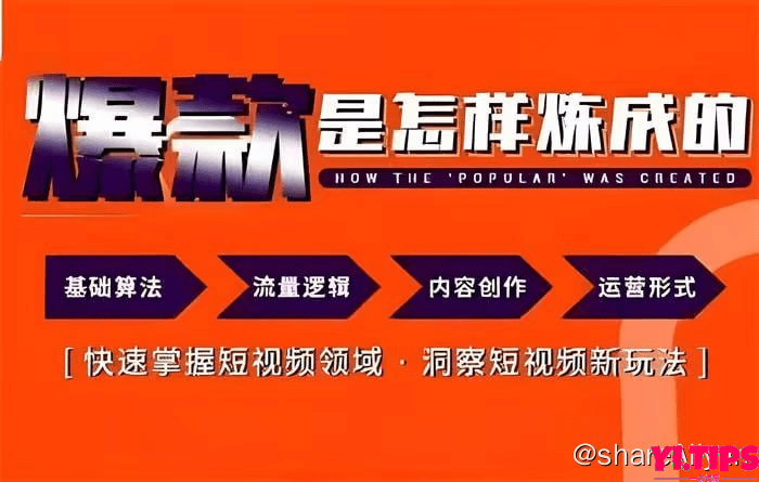 阿里云盘 学习资料 【小镇做号家】个人IP起号课程-Yi.Tips