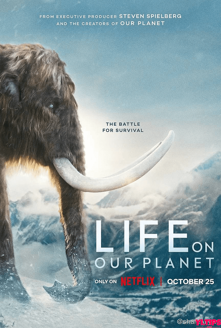 我们星球上的生命 Life on Our Planet (2023) 1080p 高码 内封多国语 8集全【纪录片】-Yi.Tips