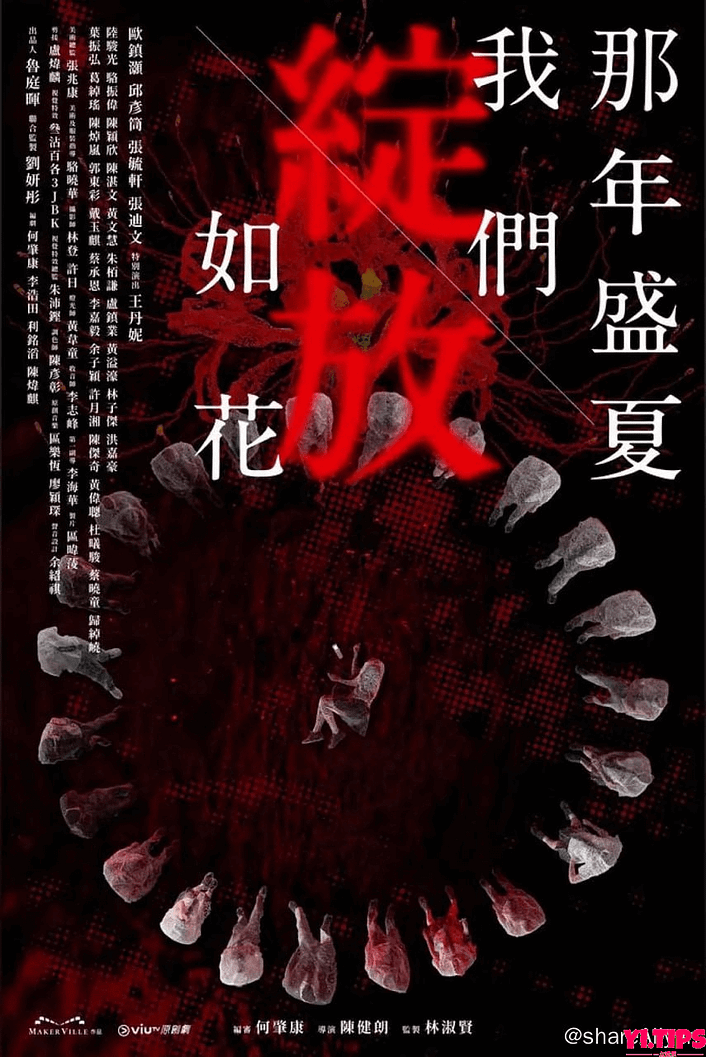 那年盛夏 我们绽放如花 那年盛夏 我們綻放如花 (2023) 首更4 阿里云盘-Yi.Tips