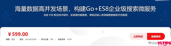 价值599 海量数据高并发场景，构建Go+ES8企业级搜索微服务 阿里云盘 学习资料-Yi.Tips