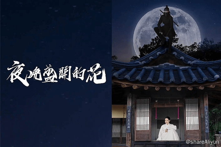 🔥夜晚开的花 밤에 피는 꽃 (2024)[更新至08集]-Yi.Tips