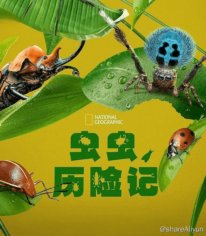 虫虫历险记 4K 超超超超清-Yi.Tips