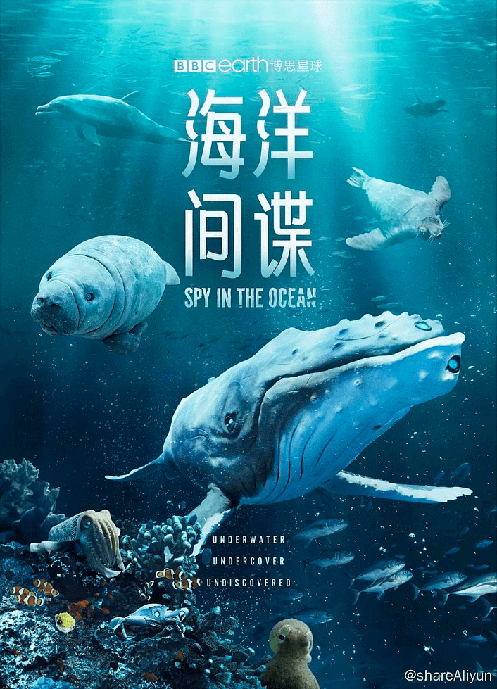🔥海洋间谍 间谍生物 #纪录片 #海洋 #鱼-Yi.Tips