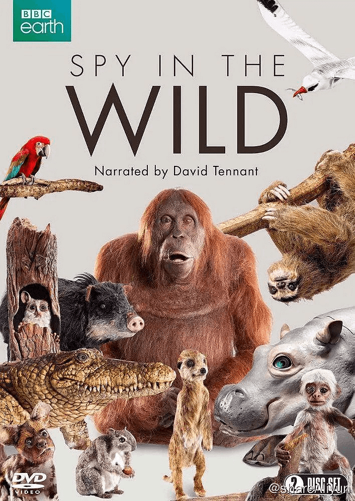 《荒野间谍S1》纪录片 4K高码-Yi.Tips