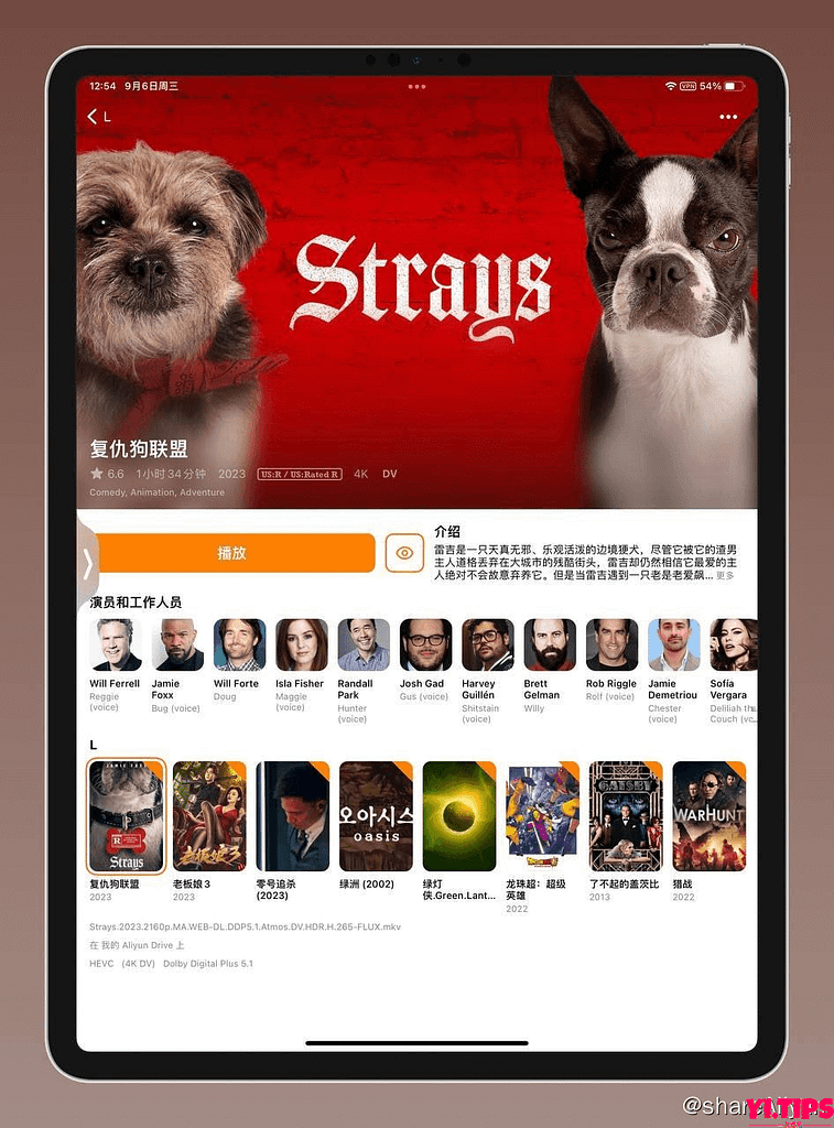 流浪狗 / 复仇狗联盟 Strays (2023) 2160p HDR&DV 外挂双语 (人工翻译字幕) 【刮削】 阿里云盘-Yi.Tips