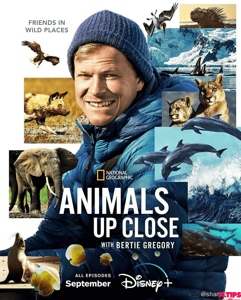 贝尔蒂·格雷戈里：与动物零距离 Animals Up Close With Bertie Gregory (2023) 1080/4K 6集完结 阿里云盘-Yi.Tips