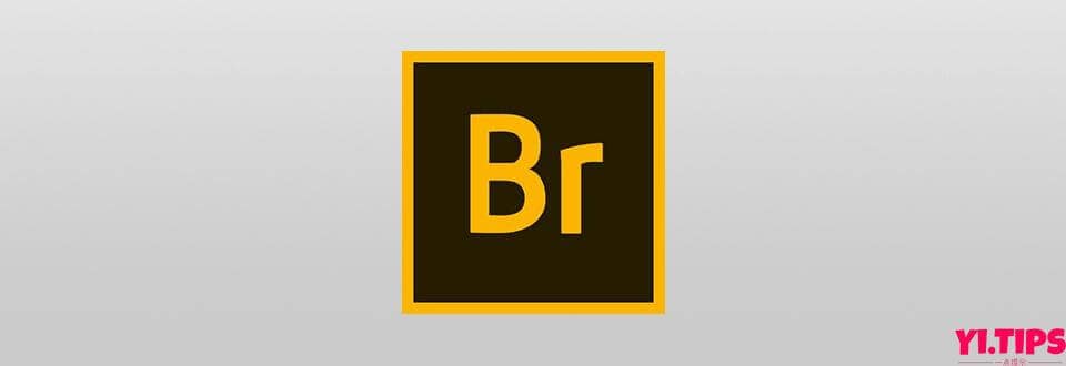 Adobe Bridge 2022 12.0.3 中文破解版多媒体文件组织管理工具BR-Mac软件免费下载-Yi.Tips