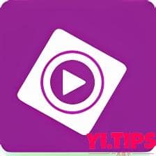 图片[2]-Adobe Premiere Elements 2023 For Mac v21.0 Pr简化版视频编辑软件-Mac软件免费下载-Yi.Tips