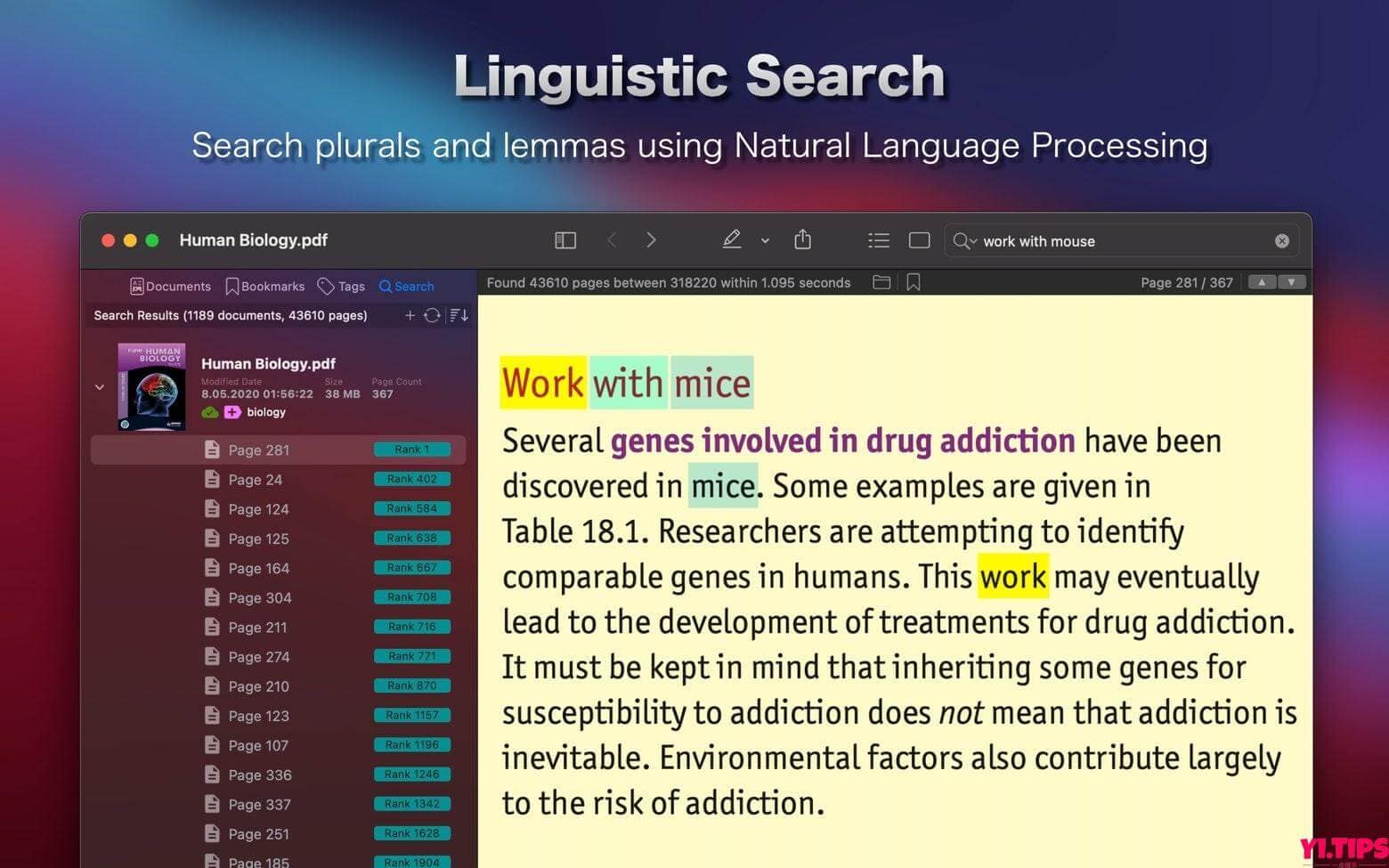 图片[4]-PDF Search for Mac v13.0 TNT破解版 PDF文档搜索工具-Yi.Tips