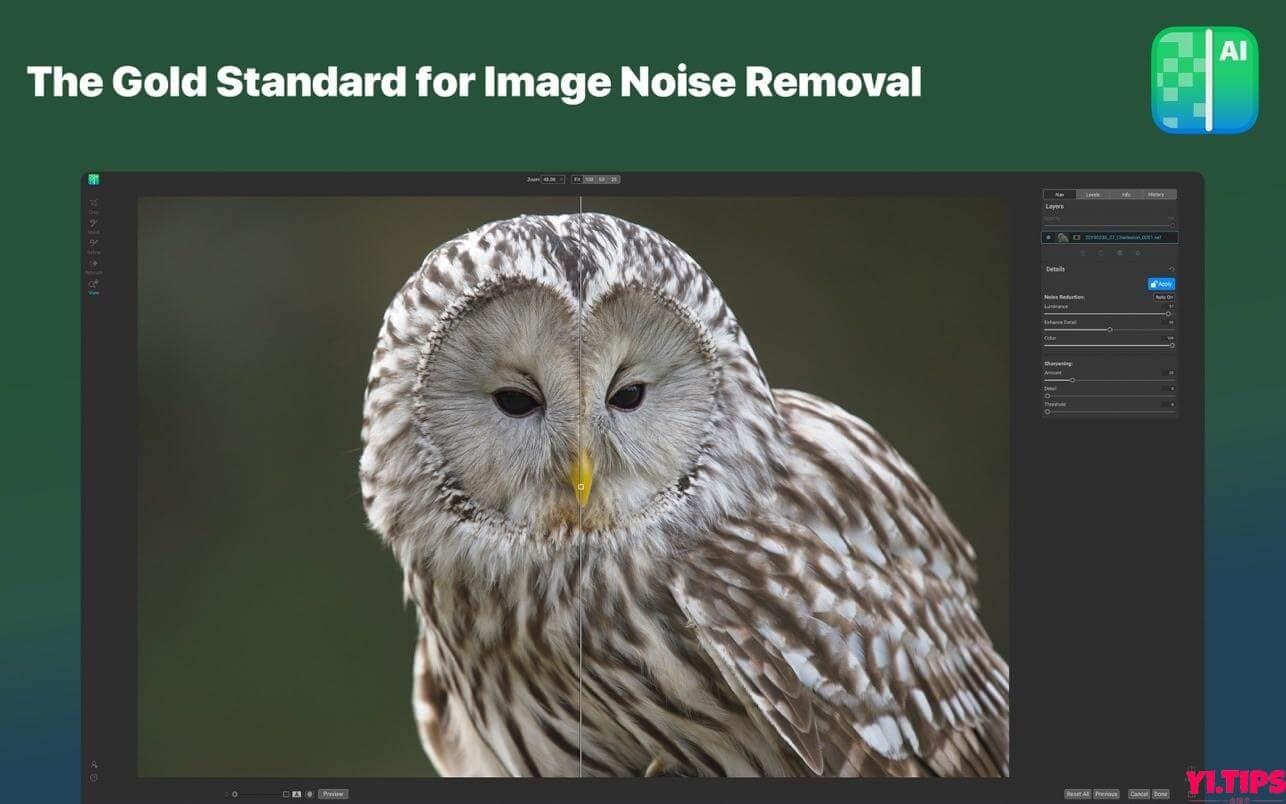 图片[1]-ON1 NoNoise AI for mac ai摄影降噪软件 TNT破解版 2023.5 v17.5.1.14028 中文版 -Mac软件免费下载-Yi.Tips