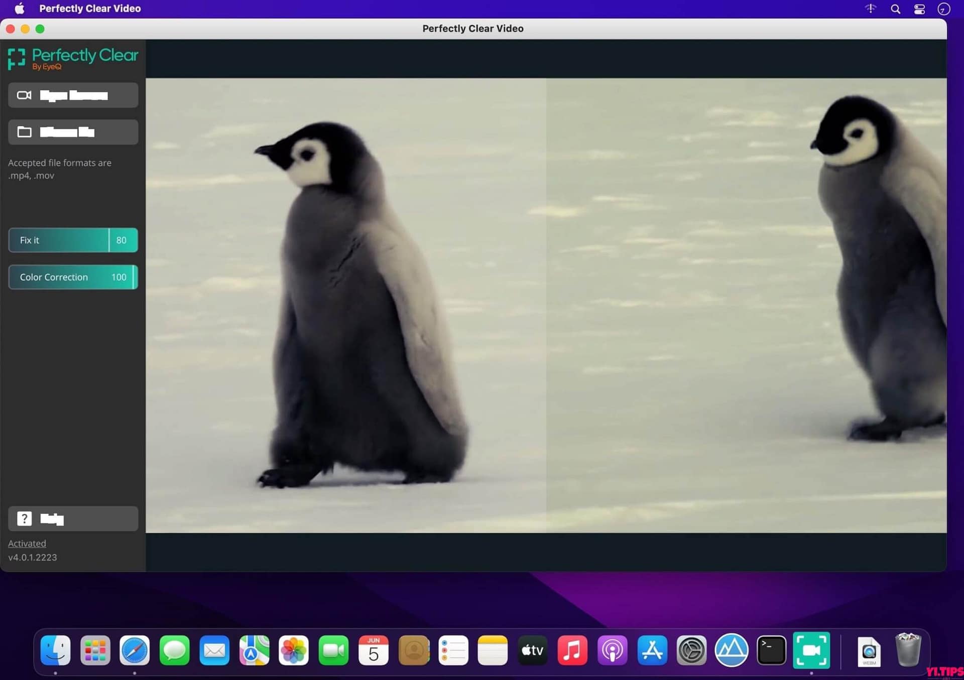 图片[1]-Perfectly Clear Video for mac 视频画面增强工具 v4.5.0 破解版-Yi.Tips