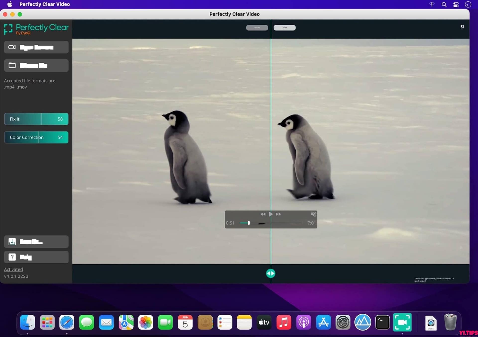 图片[2]-Perfectly Clear Video for mac 视频画面增强工具 v4.5.0 破解版-Yi.Tips