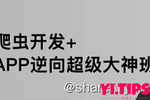 阿里云盘 学习资料 【路飞学城】爬虫开发+APP逆向超级大神班-01期-Yi.Tips