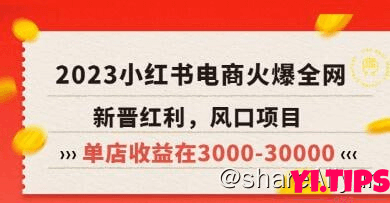 阿里云盘 学习资料 米杰《小红书电商项目》从小白到精英实战教学-Yi.Tips