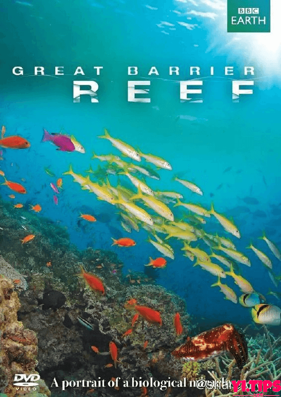 大堡礁 Great Barrier Reef (2012) 高分纪录片 1080p 内封简繁英 阿里云盘-Yi.Tips