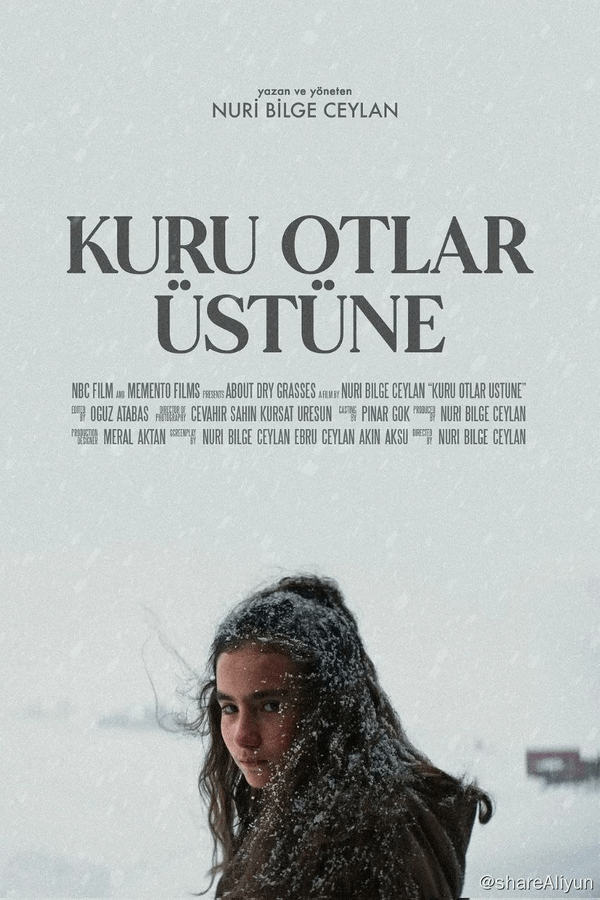 枯草 Kuru Otlar Üstüne (2023)【纯净版】【1080P】【土耳其语】【繁英双语字幕】【6.41G】-Yi.Tips